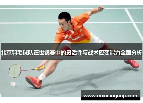 北京羽毛球队在世锦赛中的灵活性与战术应变能力全面分析