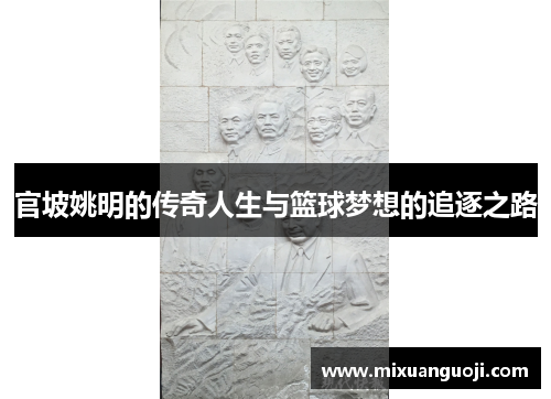 官坡姚明的传奇人生与篮球梦想的追逐之路